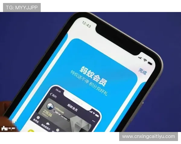 开云手机在线官网多渠道支付选择,满足不同消费者的多元支付需求 开云手机在线官网多渠道支付选择,满足不同消费者的多元支付需求