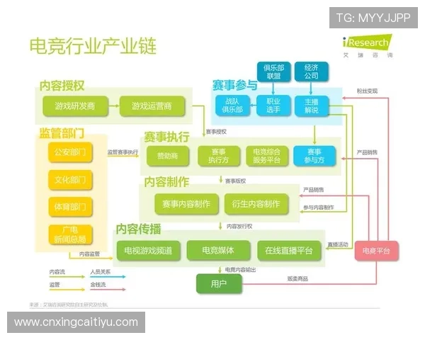 贝博app体育电竞热潮下的职业发展路线与未来机遇