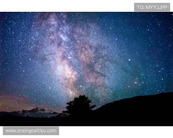 随时随地观看直播，星空体育全站下载带来无限可能