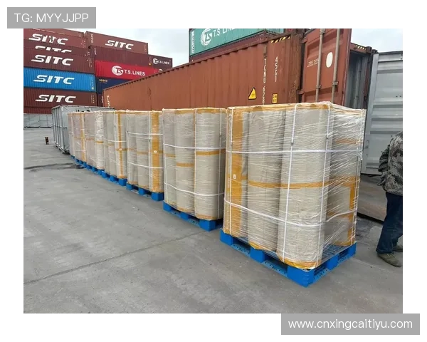 365速发国际，助力企业全球物流快速通达，提升国际贸易效率