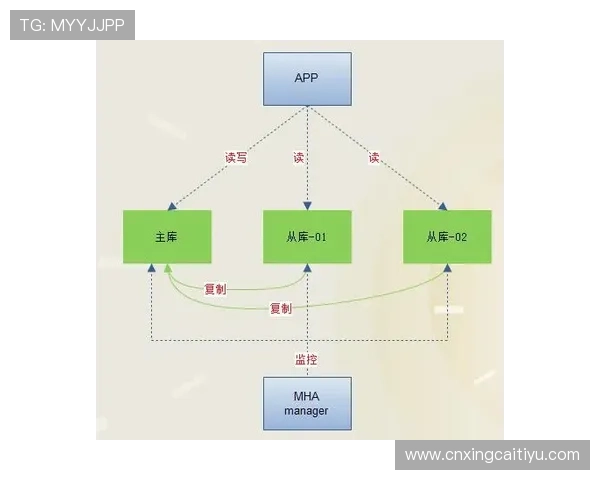 J9备用账号与主账号的区别及合理使用策略解析