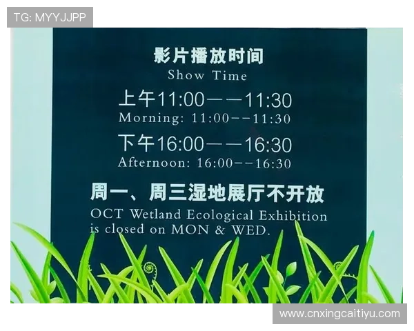 2026年B体育官网入口官方入口导航，帮助玩家快速找到最安全的登录通道