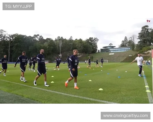 im体育官网入口官方公告最新动态，第一时间掌握平台最新活动与优惠信息