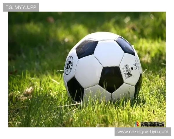 谈球吧网页：详解平台提供的足球数据统计与比赛预测功能的实用性