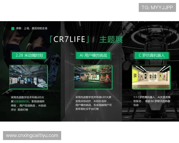 风云体育集团娱乐平台：结合体育文化打造具有特色的娱乐互动平台